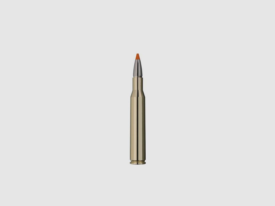 RWS .270 Win. HIT 8,4 g/130 gr, immagine 4 di 6