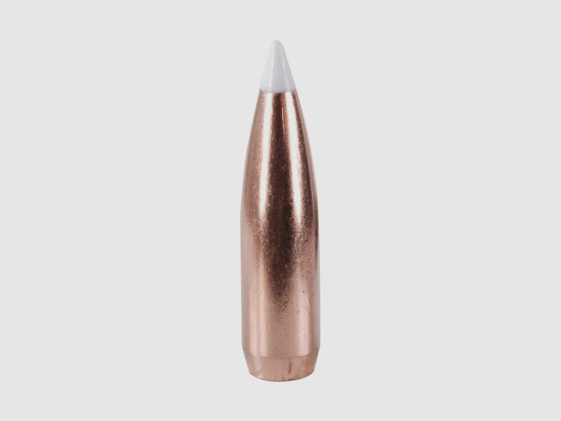 Nosler Bullet Accubond .30/.308 165GR Spitzer 50 pieces