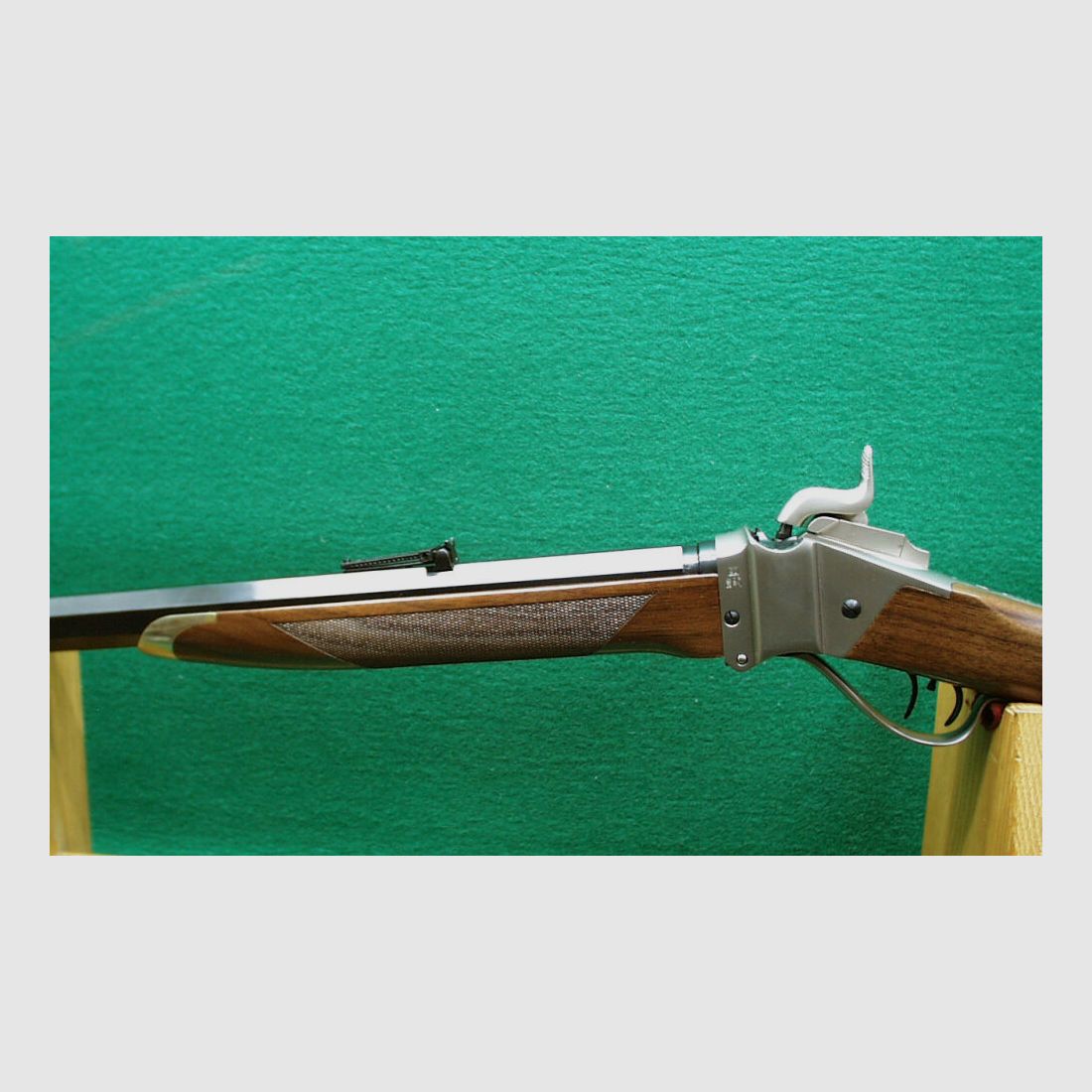 Competencia Sharps Saguaro de Pedersoli 34"