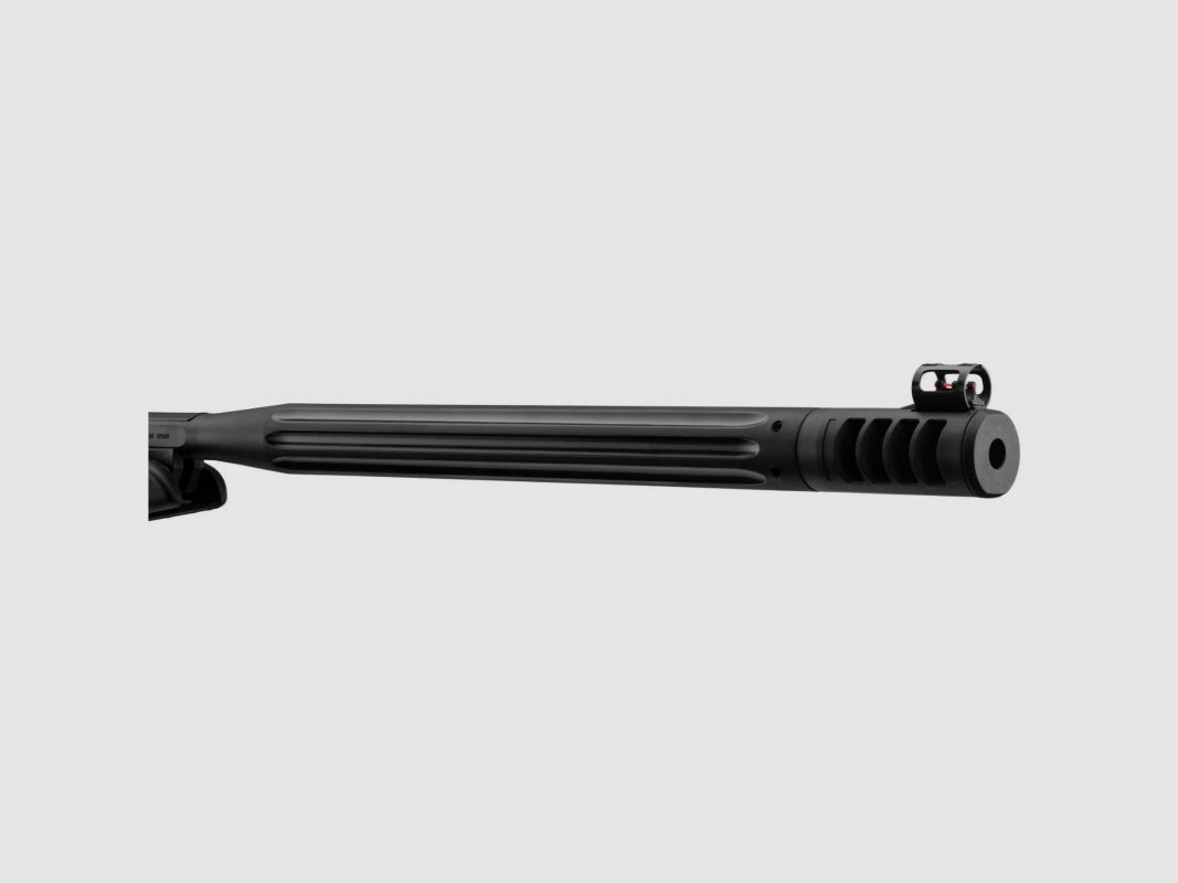 GAMO WHISPER MAXXIM IGT 20J + ZIELFERNROHR 4X32, Bild 1 von 5