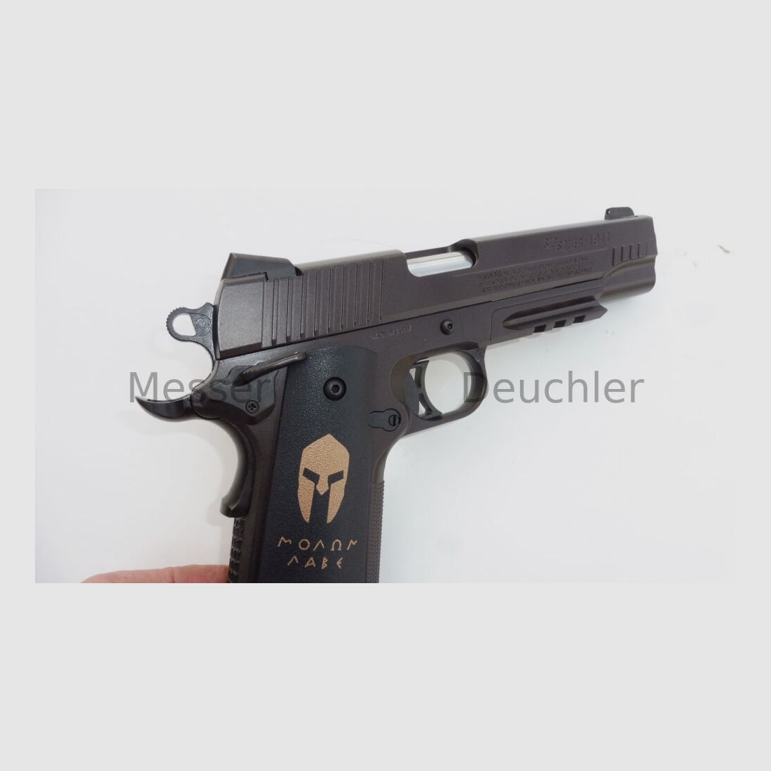 Sig Sauer 1911 Spartan