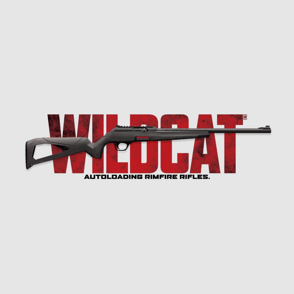 WINCHESTER WILDCAT 22LR, image 1 sur 2