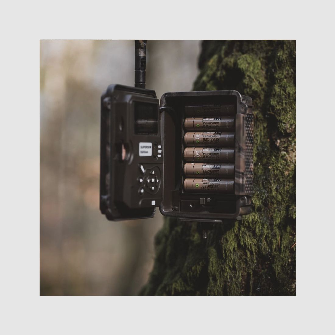 SEISSIGER Wildcamera Special-Cam LTE – SUPERSIM-Edition inclusi batterie