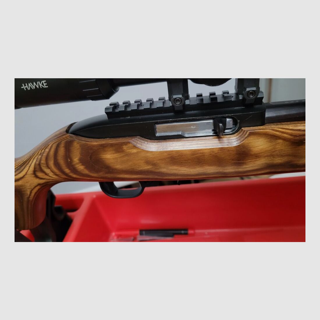Ruger 10/22