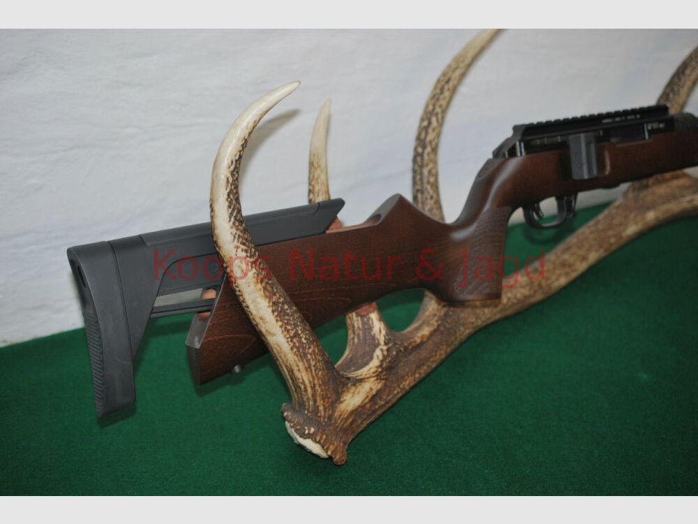 Hammerli Arms Force B1