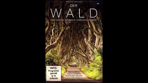 Der Wald - Das grüne Wunder unserer Heimat