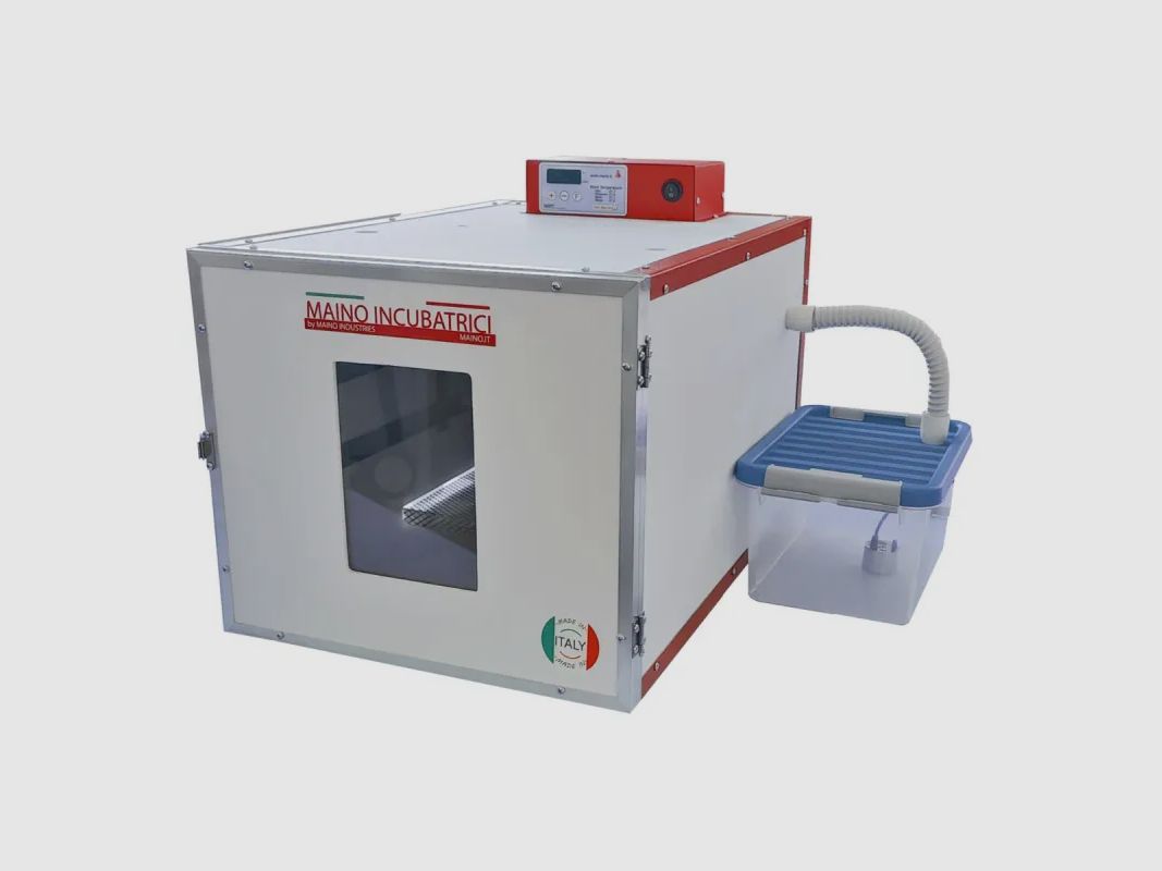 Couveuse automatique Maino DUC 70 avec humidificateur, image 1 sur 29