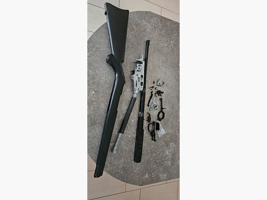 Umarex Ruger 10/22 zerlegt mit Picatinny