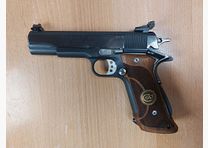 Colt, USA Government 70s Series