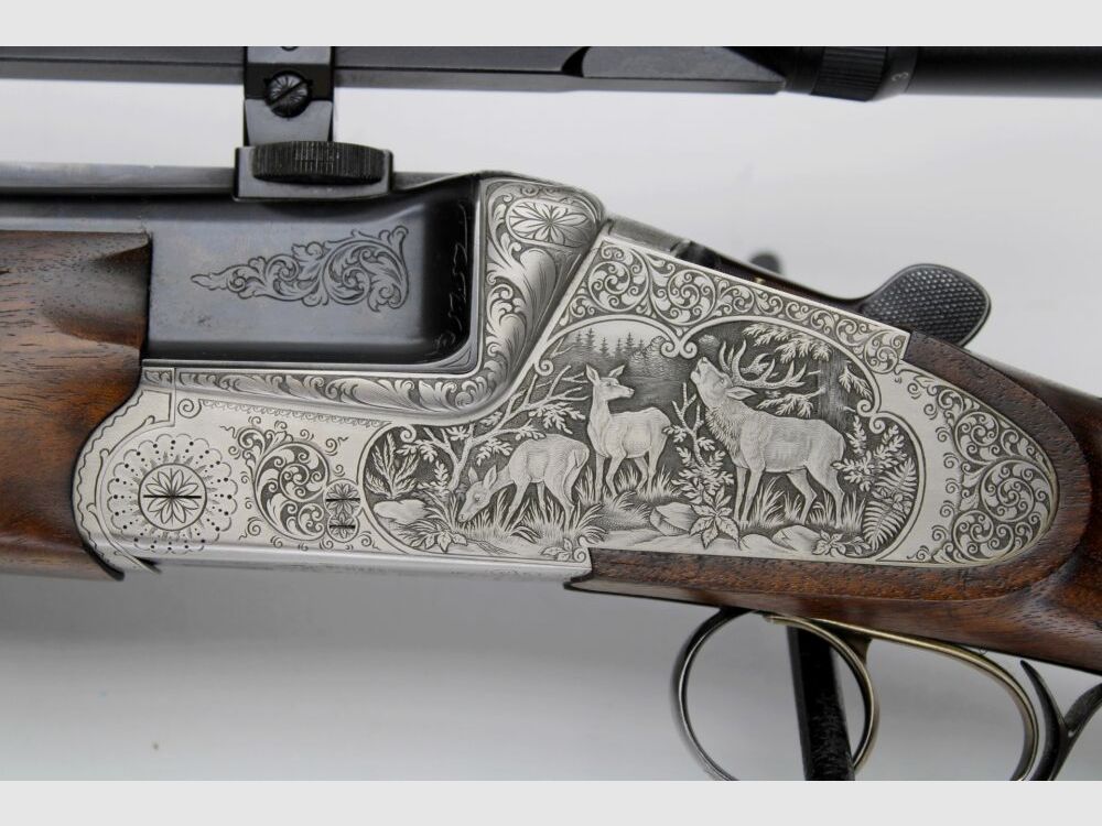 Bockdrilling Heym 35 de luxe avec Swarovski Habicht 2,5-10x56 LP et munitions 20/76;9,3x74R;5,6x52R