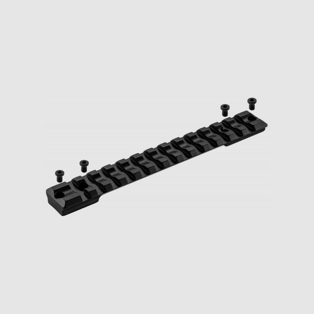 RECKNAGEL SCHIENEN LANG - SABATTI ROVER