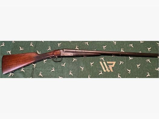 Fossile Robust Brevek - 12/65