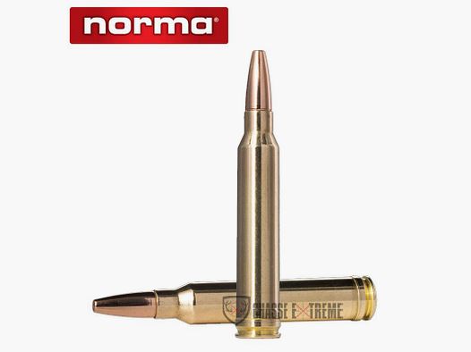20 Munitions NORMA Ctg cal 300 Win Mag 180gr Vulkan