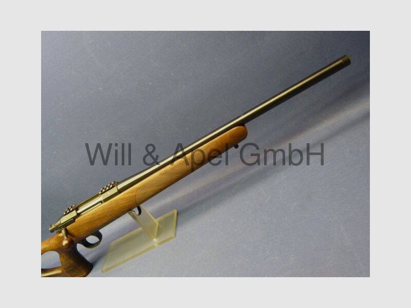 STEEL ACTION HS NUSSBAUM STOCK