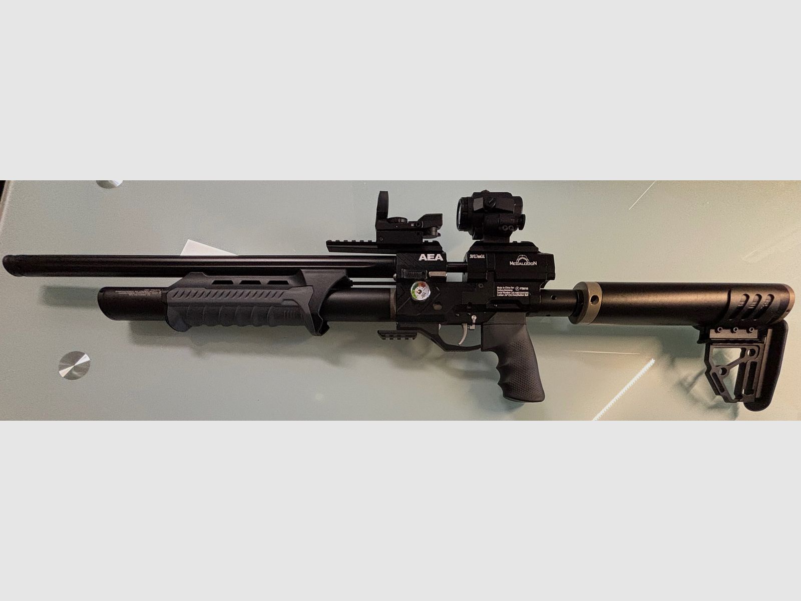 Megalodon im Komplett-Set