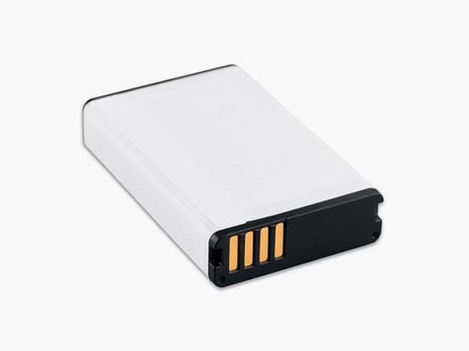 Batteria al litio Garmin (Alpha® Handhelds)
