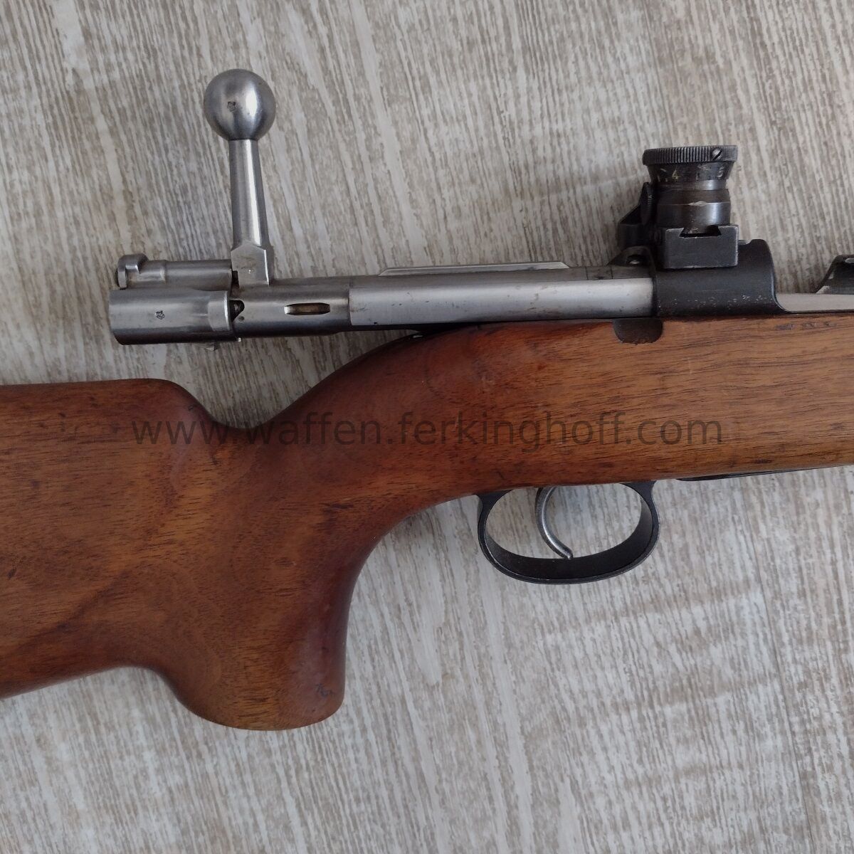 Carl Gustafs M63 Schweden 1902 Elit