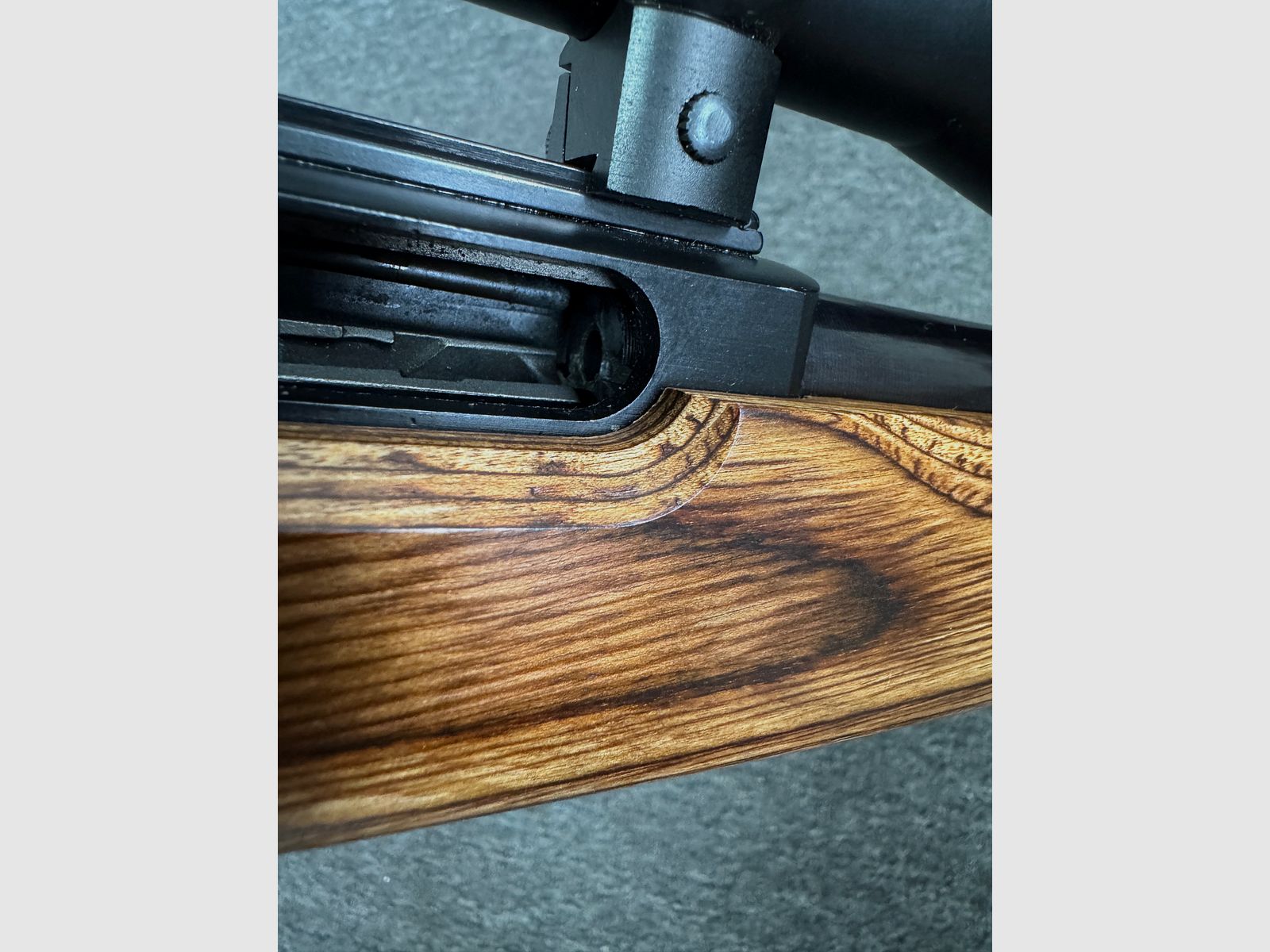 Ruger 10/22 SLB .22LR mit ZF