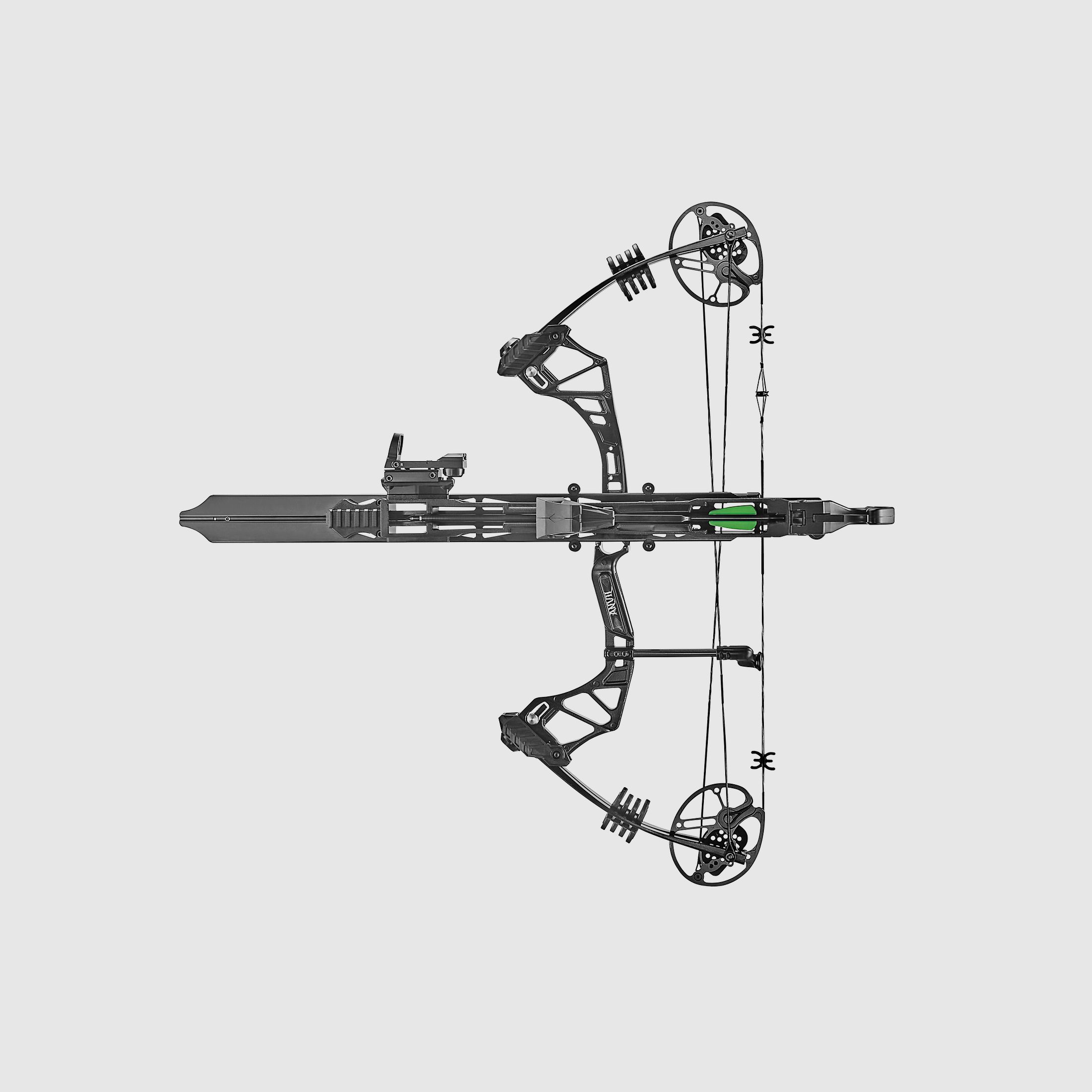 Whipshot compound bow with magazine