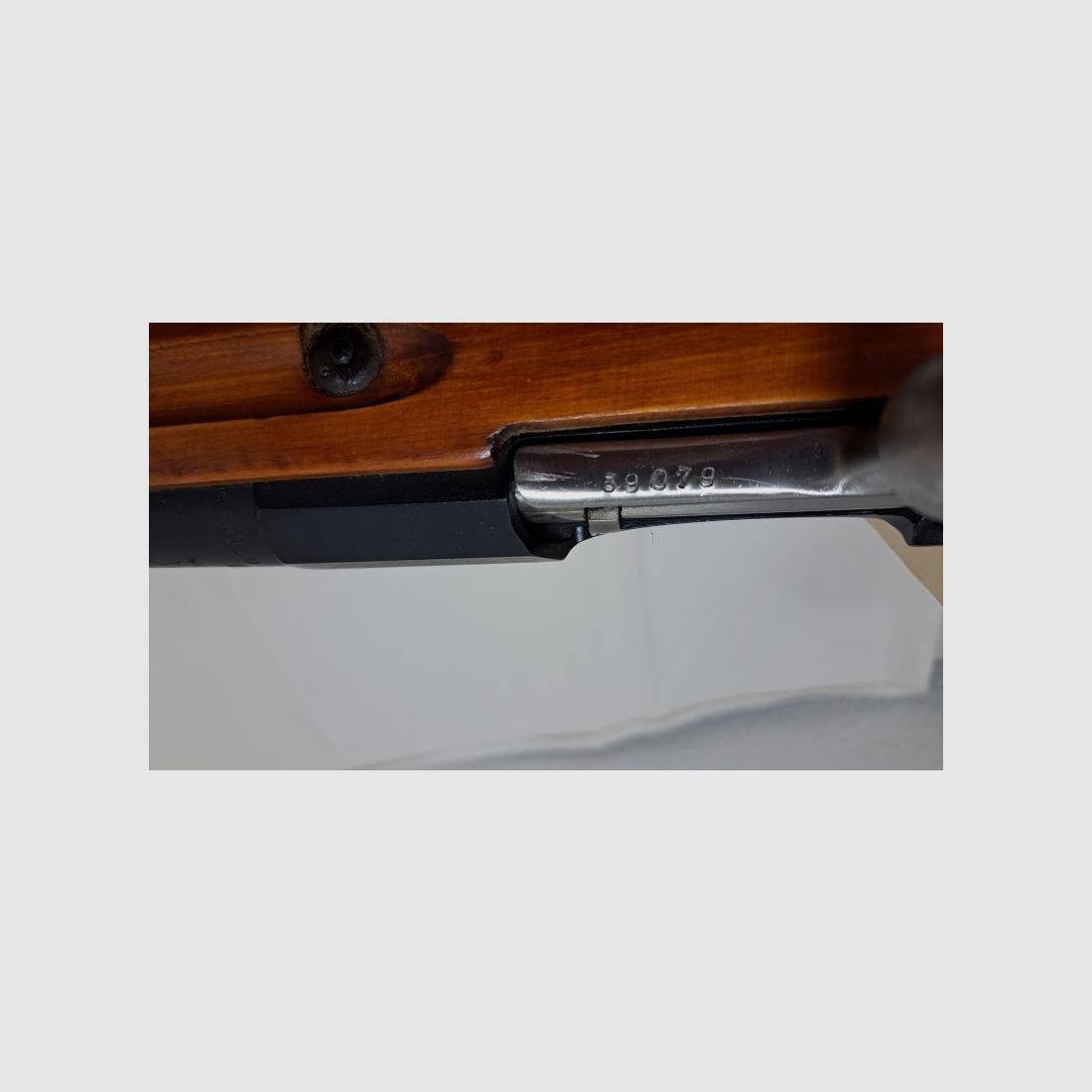 Top Mosin Nagant Year 1934 in caliber 7.62x54R