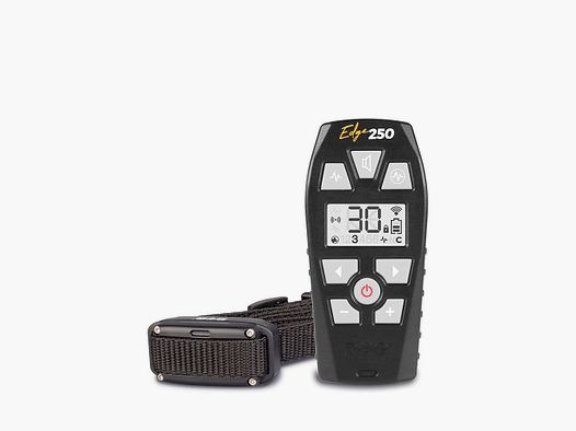 Dogtrace EDGE ONE 250
