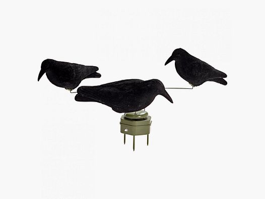 Crow Carousel
