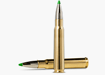 Norma .308 WIN ECOSTRIKE 9.7 g 150 gr - 20 pcs