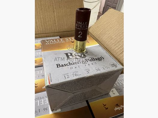 Baschieri & Pellagri Valle Steel Magnum *Sin plomo* HV 12/76 36 g, 3,5 mm