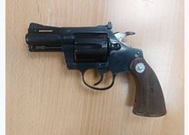 Colt, USA Diamondback