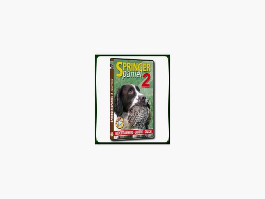 SPRINGER Spaniel 2 TRAINING - ARBEIT - JAGD