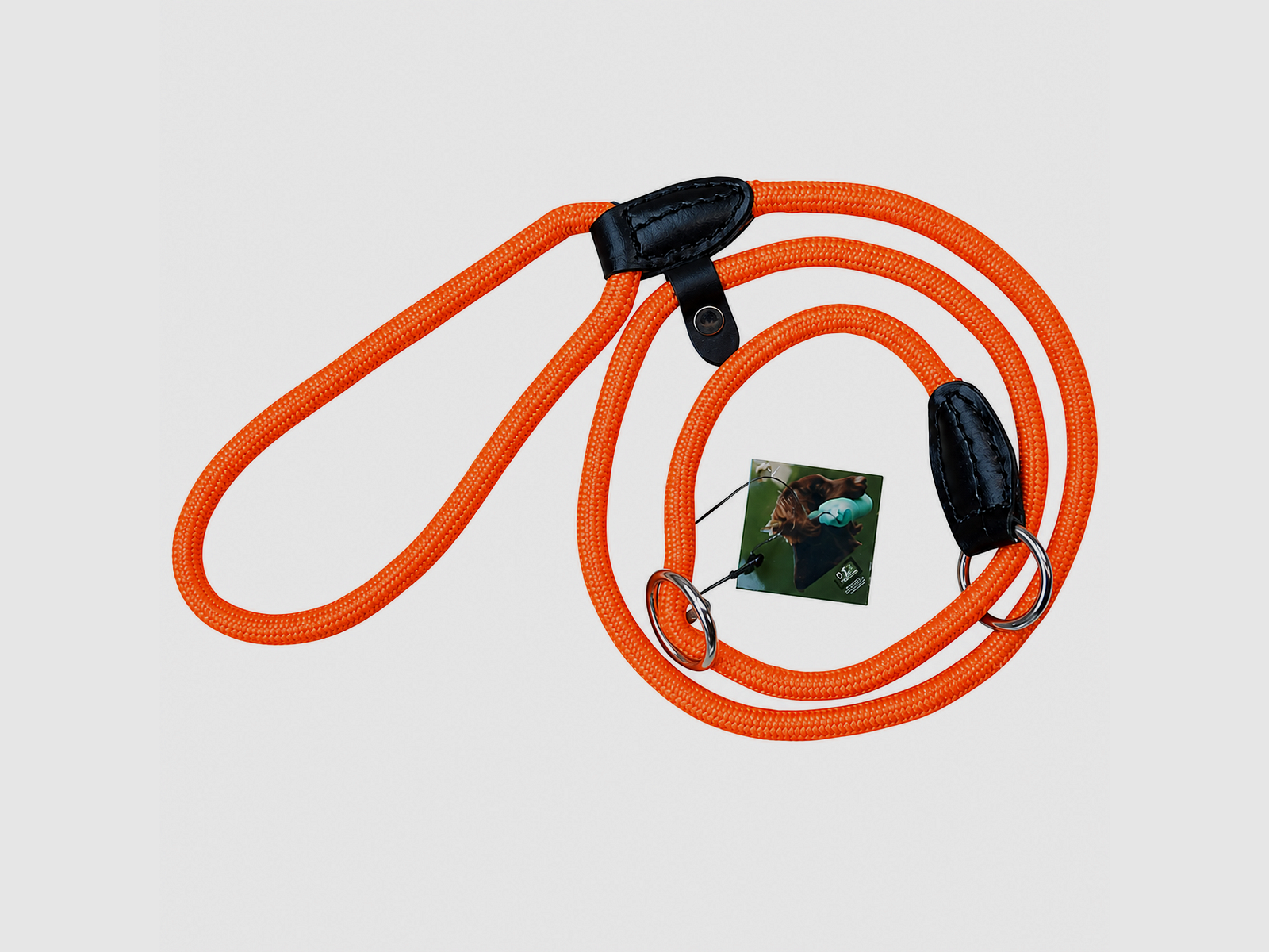 Laisse pour chien en nylon L120 cm D6 mm orange
