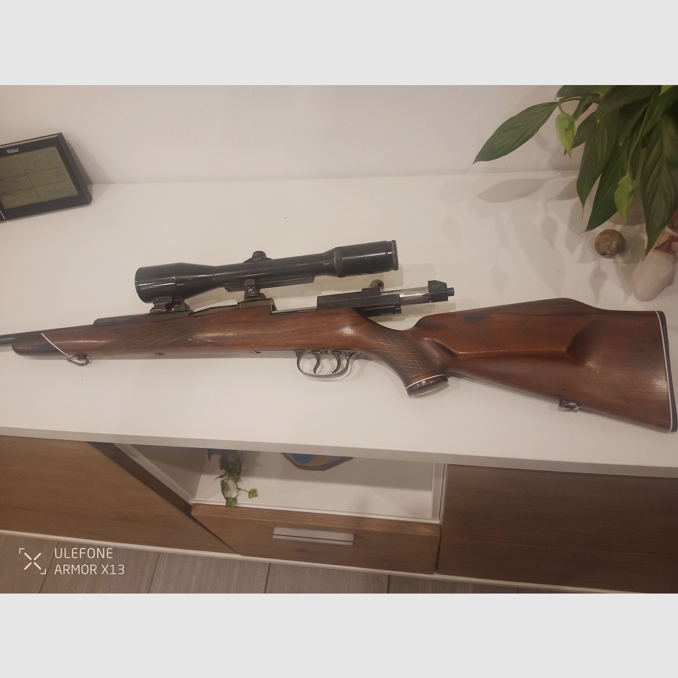 Mauser 66