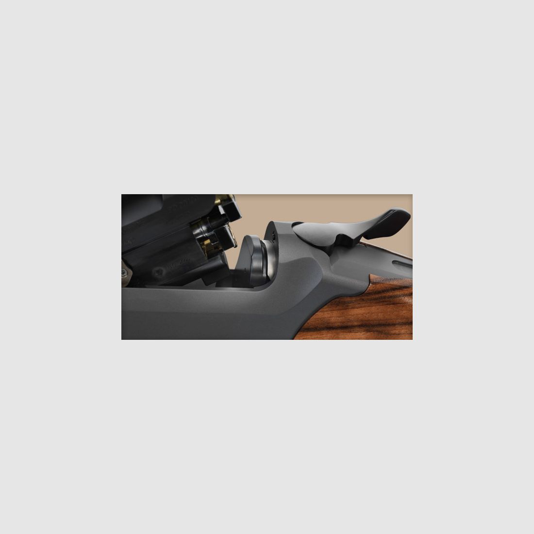 Blaser BD14