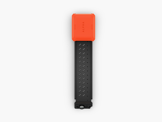 FLEXBAND FÜR ALPHA T 20 K - GPS-HUNDEHALSBAND