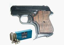 Bruni 315