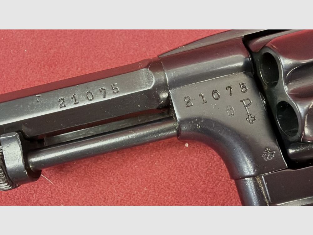 Fabbrica di armi Bern M82 (1882)