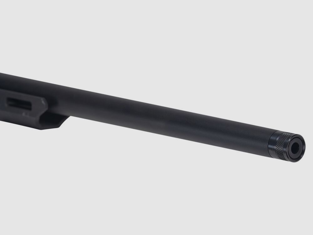 Savage Axis II Precision