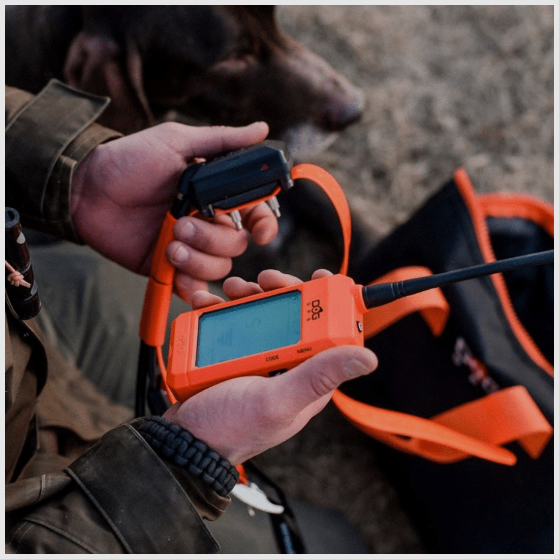 Dogtrace GPS X30-T Arcea, Bild 23 von 23