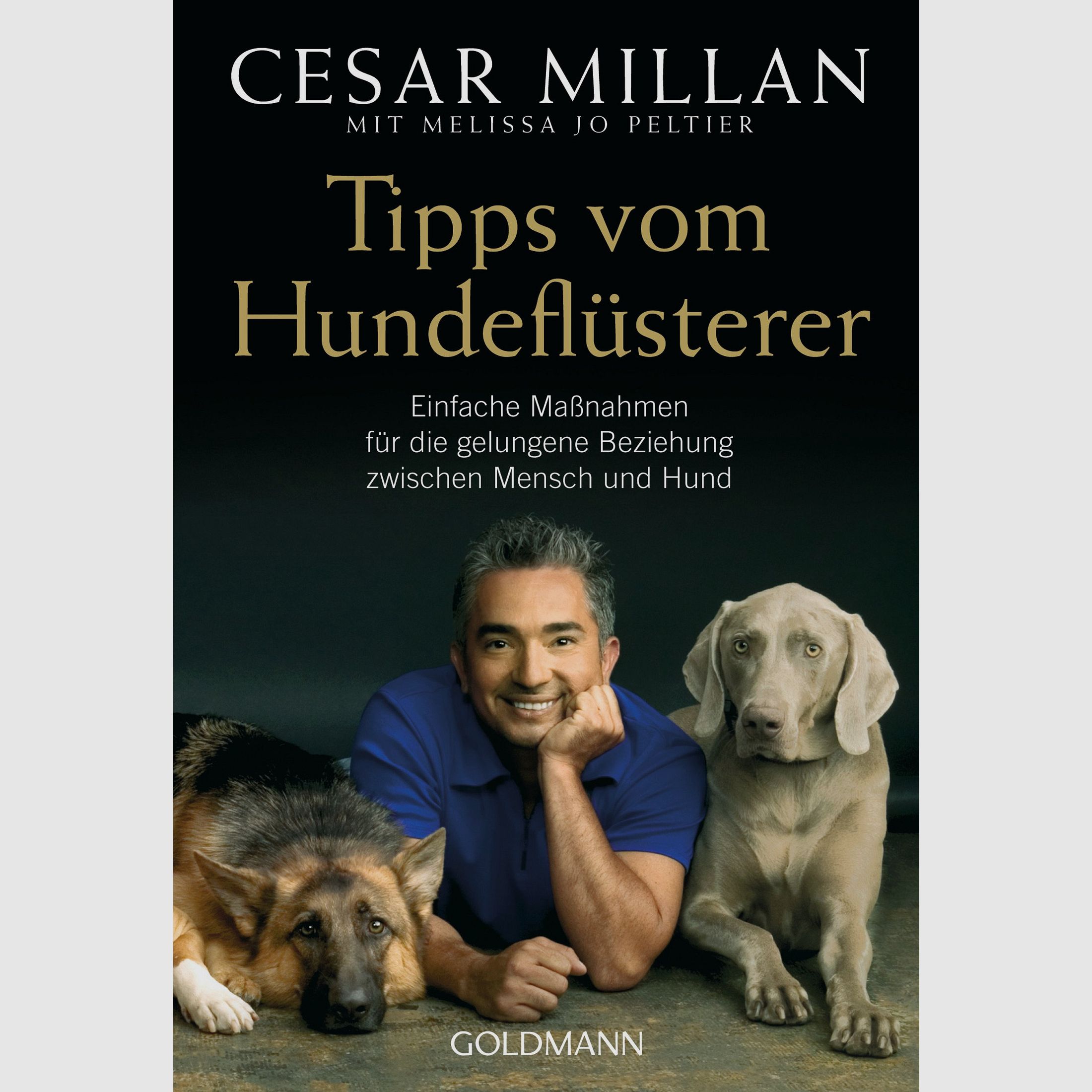 Tipps vom Hundeflüsterer – Einfache Maßnahmen für die gelungene Beziehung zwischen Mensch und Hund