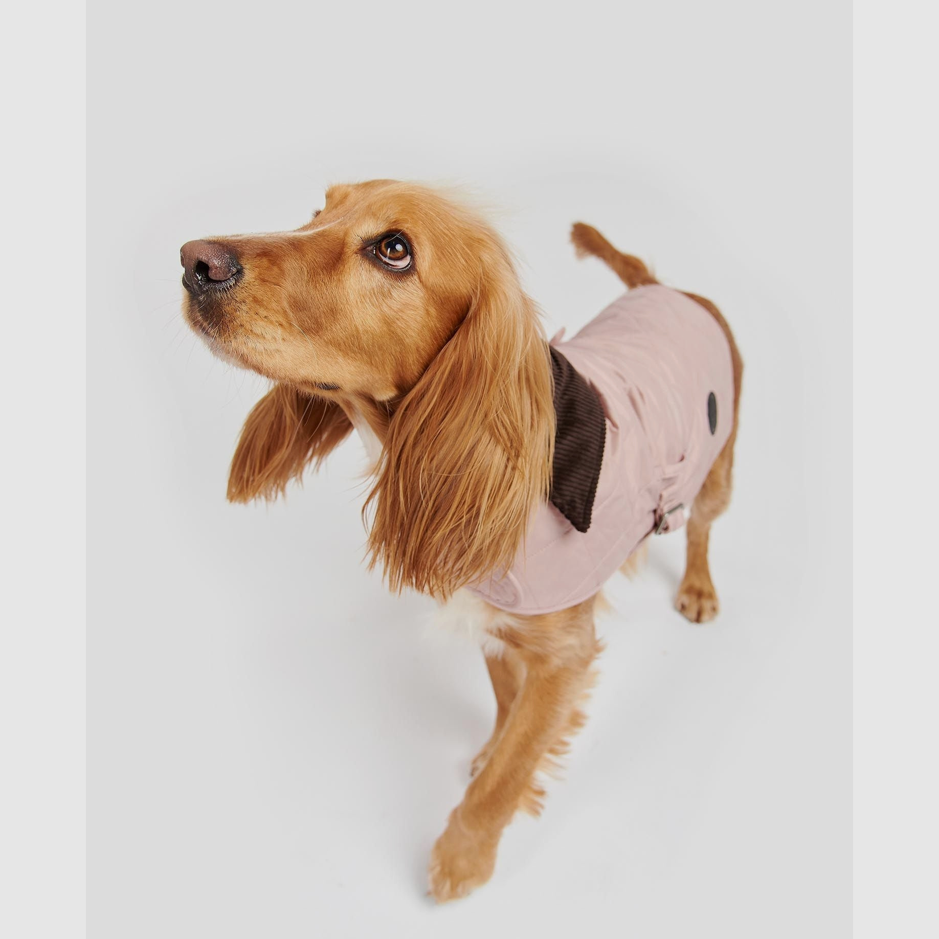 Abrigo para perros Barbour acolchado