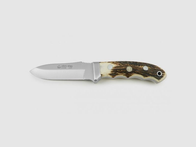 PUMA IP ebro, stag