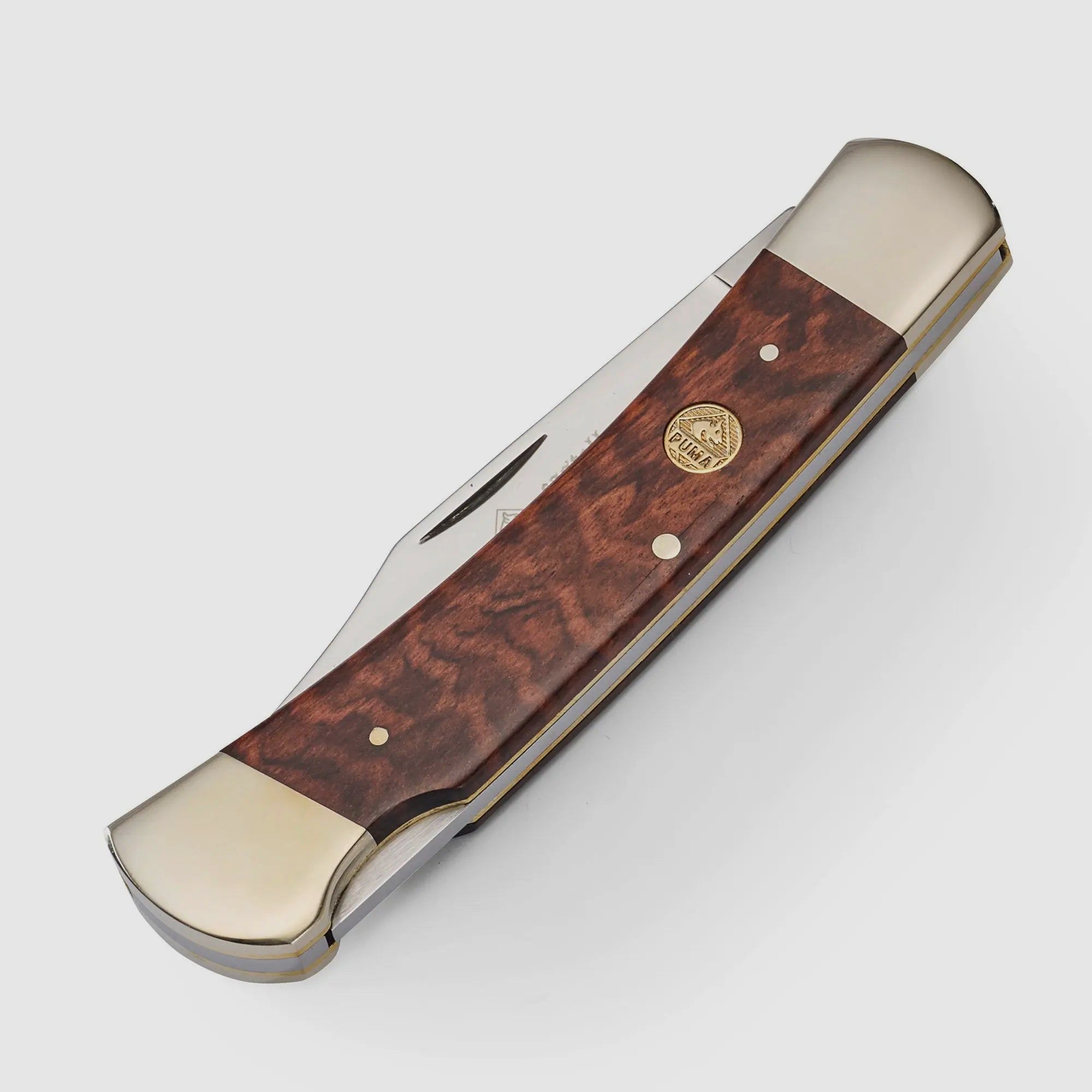 PUMA castellan, bois de serpent