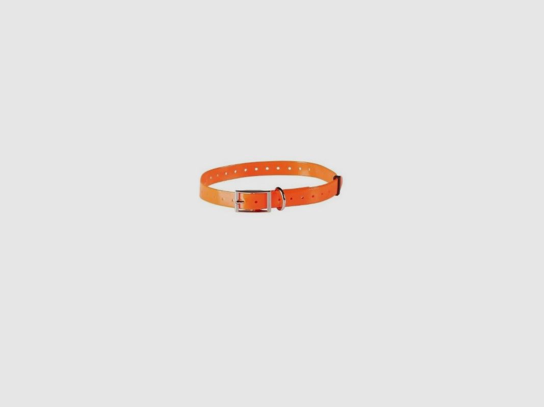 Halsband für Hunde NUMaxes orange hochsichtbar Mod. COL030303, Bild 2 von 2