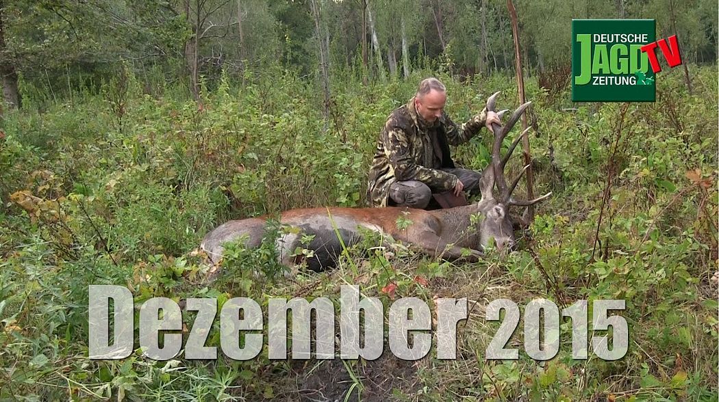 Kinder an die Jagd ranführen, Hirschjagd in Serbien, Schrotpatronenherstellung: DJZ-TV 12/2015