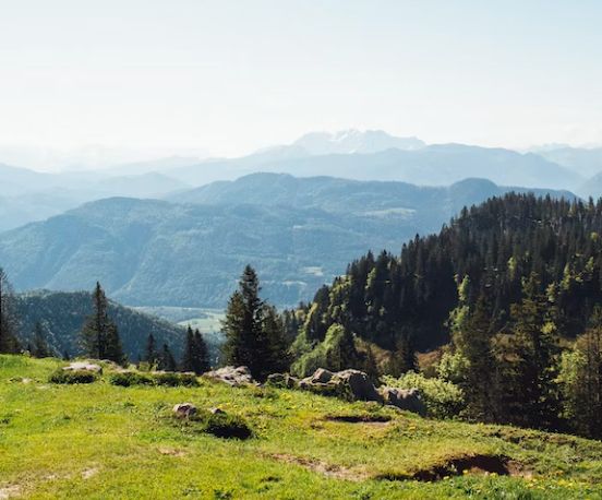 Jagdzeiten Bayern