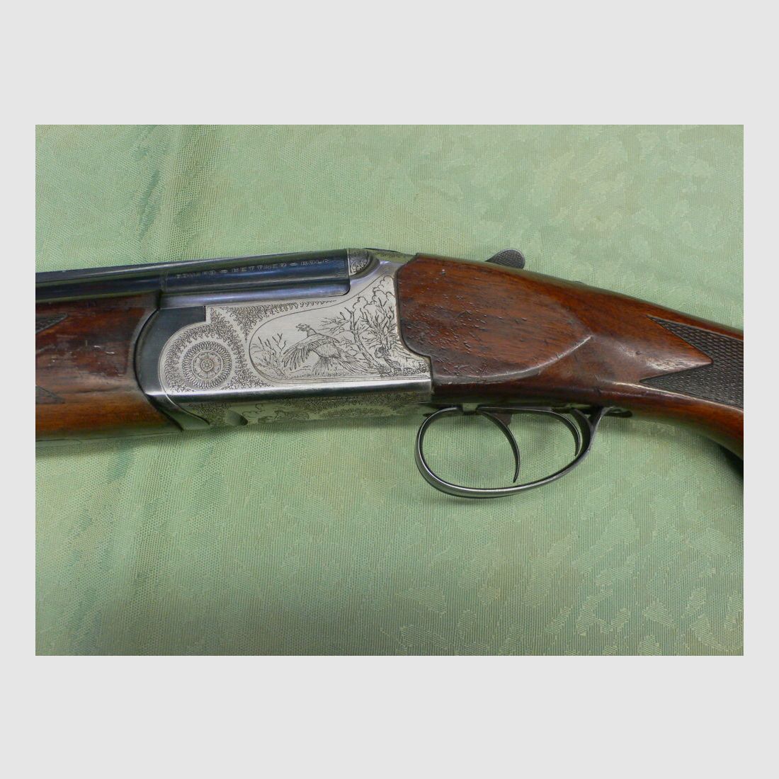 Kettner Campione, image 2 of 4