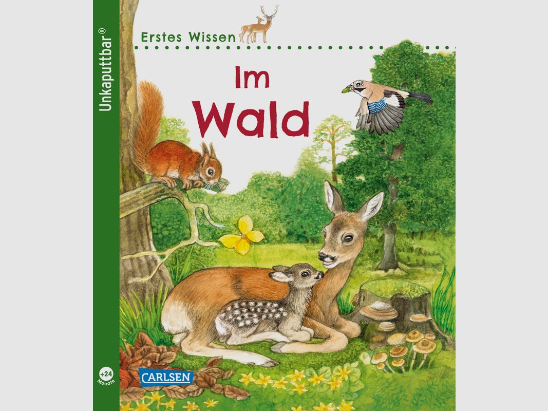 Książka dla dzieci "Niezniszczalny: Pierwsza Wiedza: W Lesie"