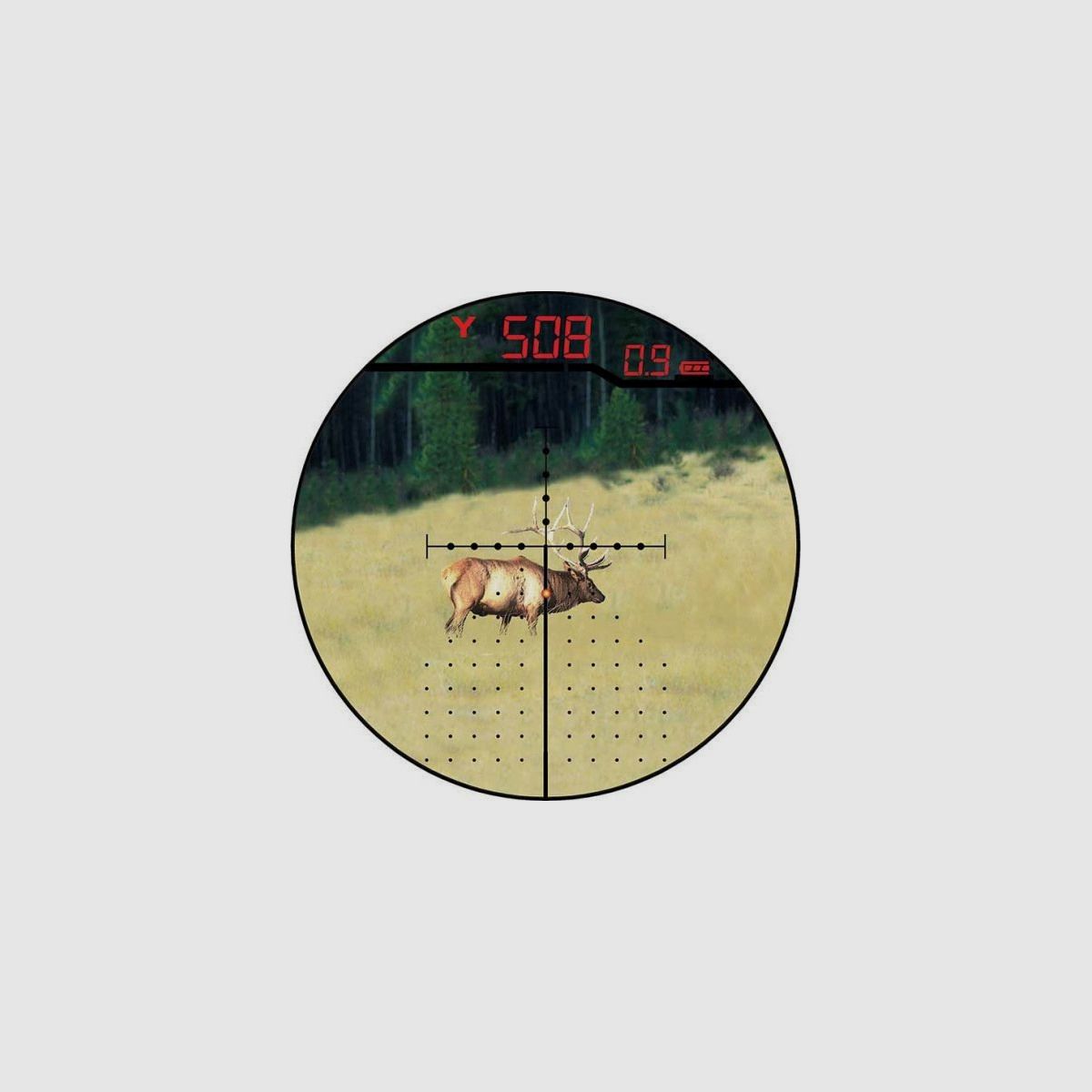 Burris Ballistic III Laserscope 4-16x50, Bild 3 von 3