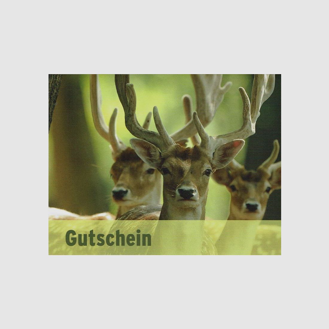 Gutschein Waffen Wiegand per Versand