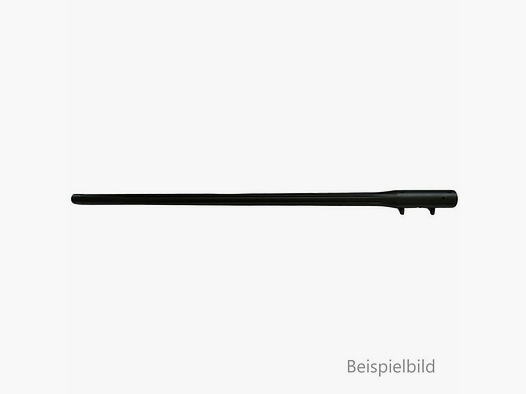 Blaser WL R8 SW Kann. M15x1